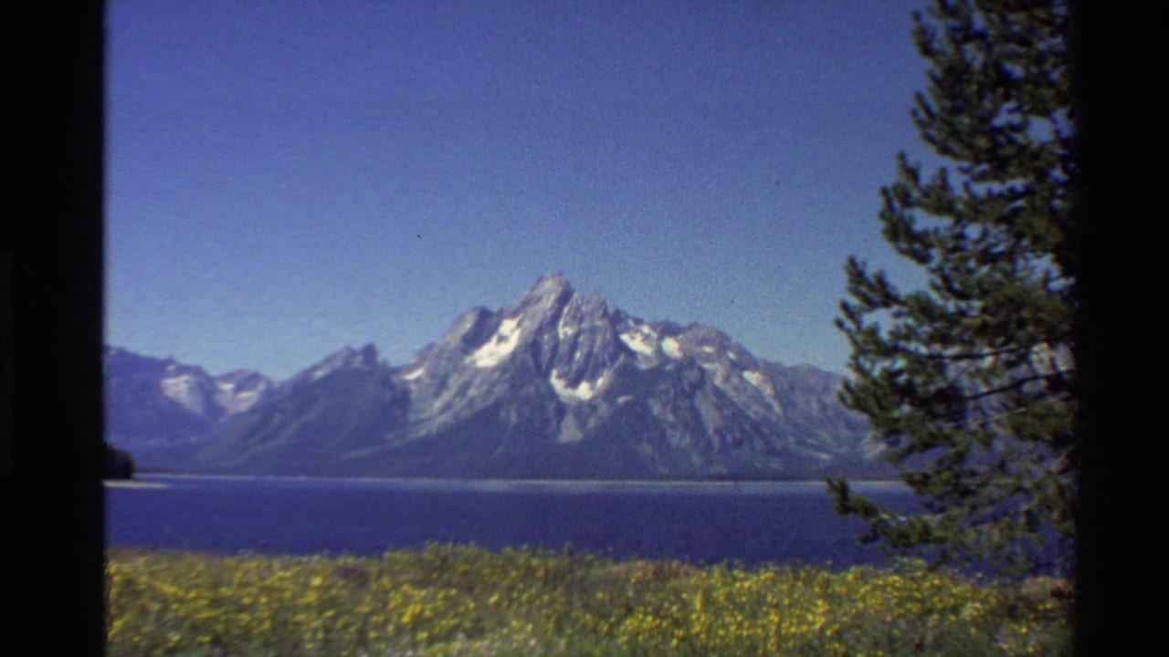 1980s 8mm Western USA view of snow-streaked mountains across a blue lake, framed by wildflowers and a pine tree.