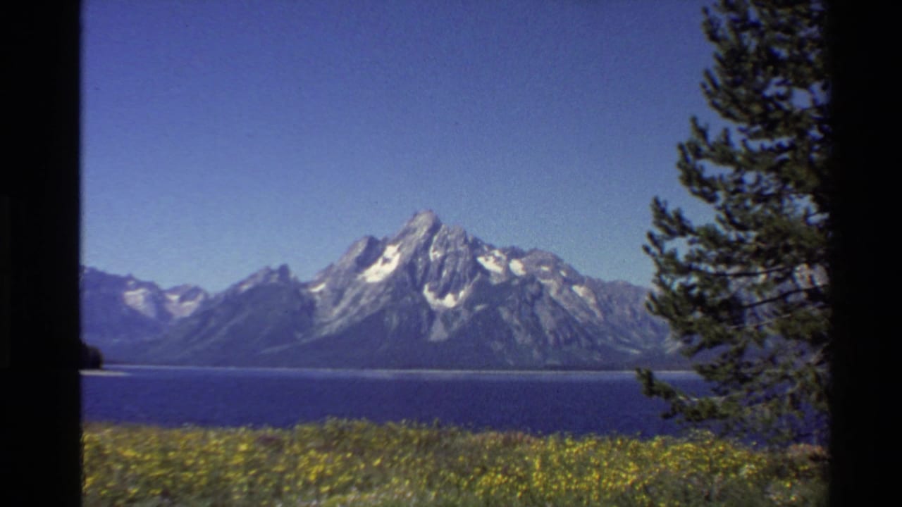 Western USA home-movie frame showing snow-streaked mountains across a lake, with yellow flowers and a pine tree border.