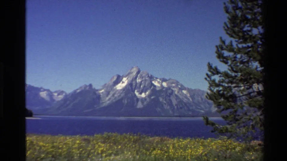 Western USA 8mm home-movie frame of a broad lake below snowy mountains, bordered by pine branches and meadow flowers.