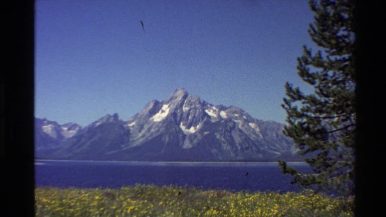 1980 8mm view of a Western U.S. snow-streaked mountain range across a blue lake, framed by pine branches and yellow wildflowers.