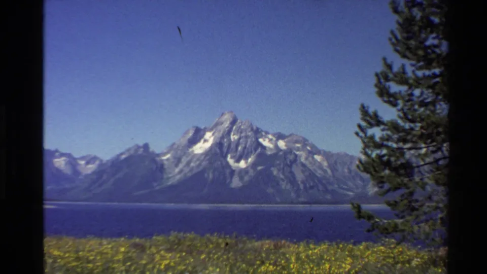 1980 8mm view of a Western U.S. snow-streaked mountain range across a blue lake, framed by pine branches and yellow wildflowers.