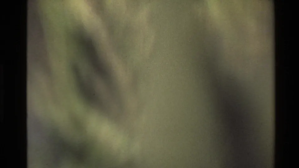 Soft-focus 8mm frame from the Western U.S. clip, showing abstract green-gray shapes as the camera moves away from the clear landscape view.