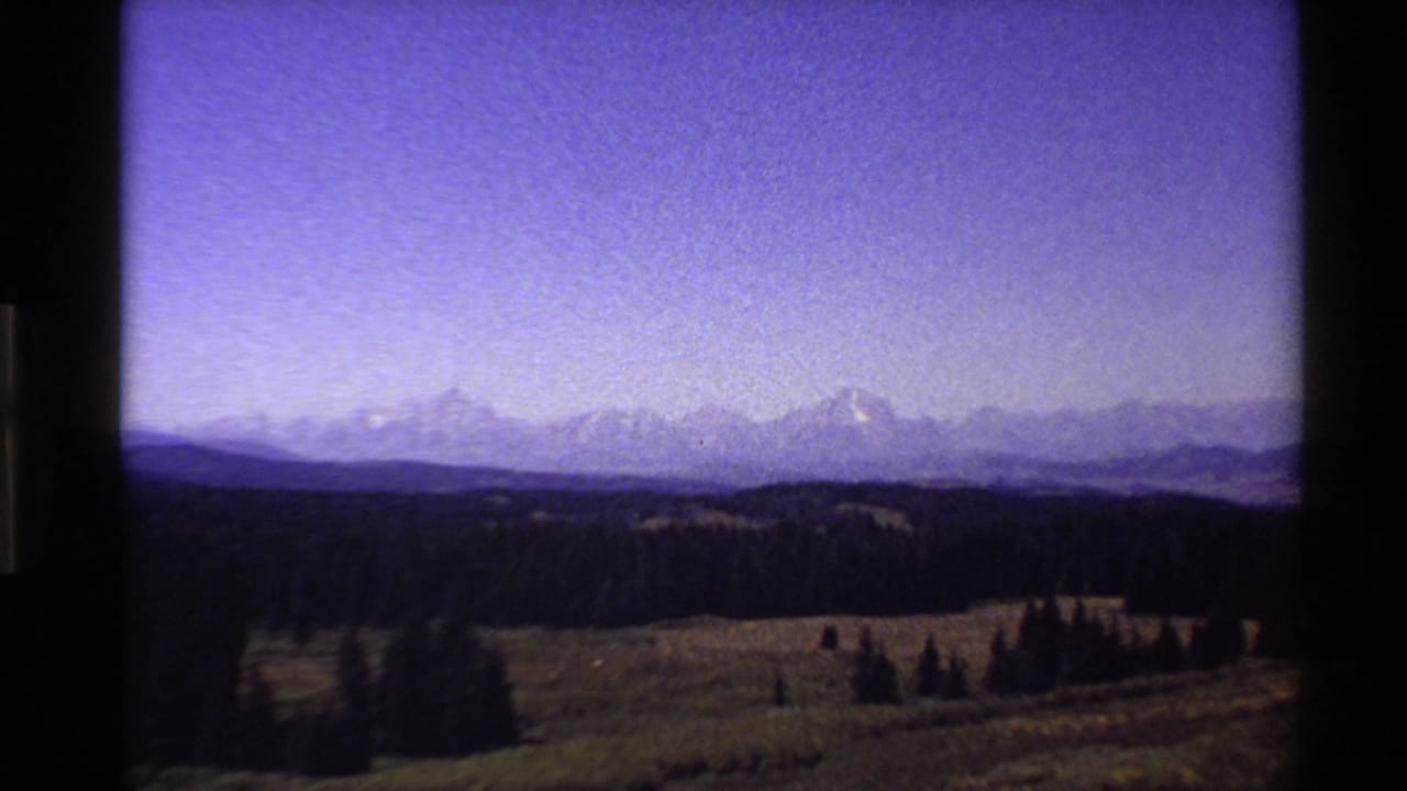 Distant mountain range above dark forest and open meadow.