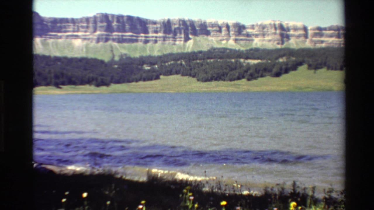 Wide lake surface in front of green meadows, dense forest, and pale layered mountains.