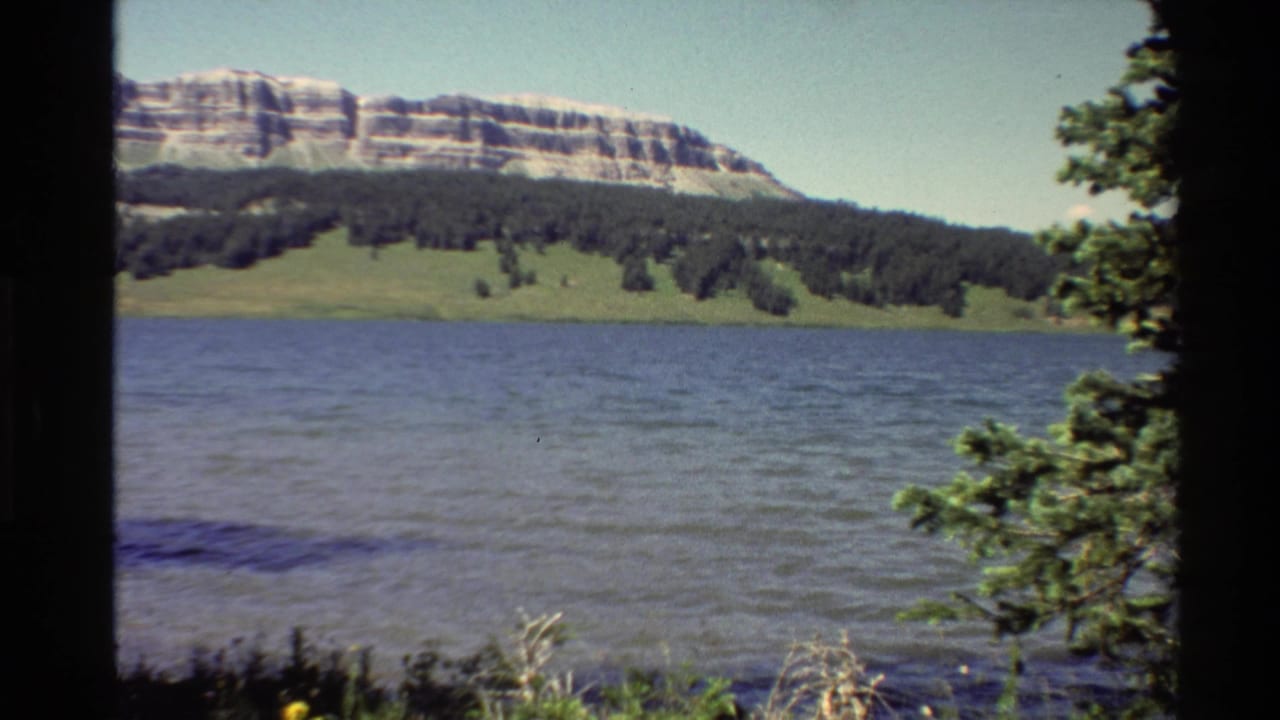 Lake and forested shore below a broad mountain ridge, with tree branches at the right edge.