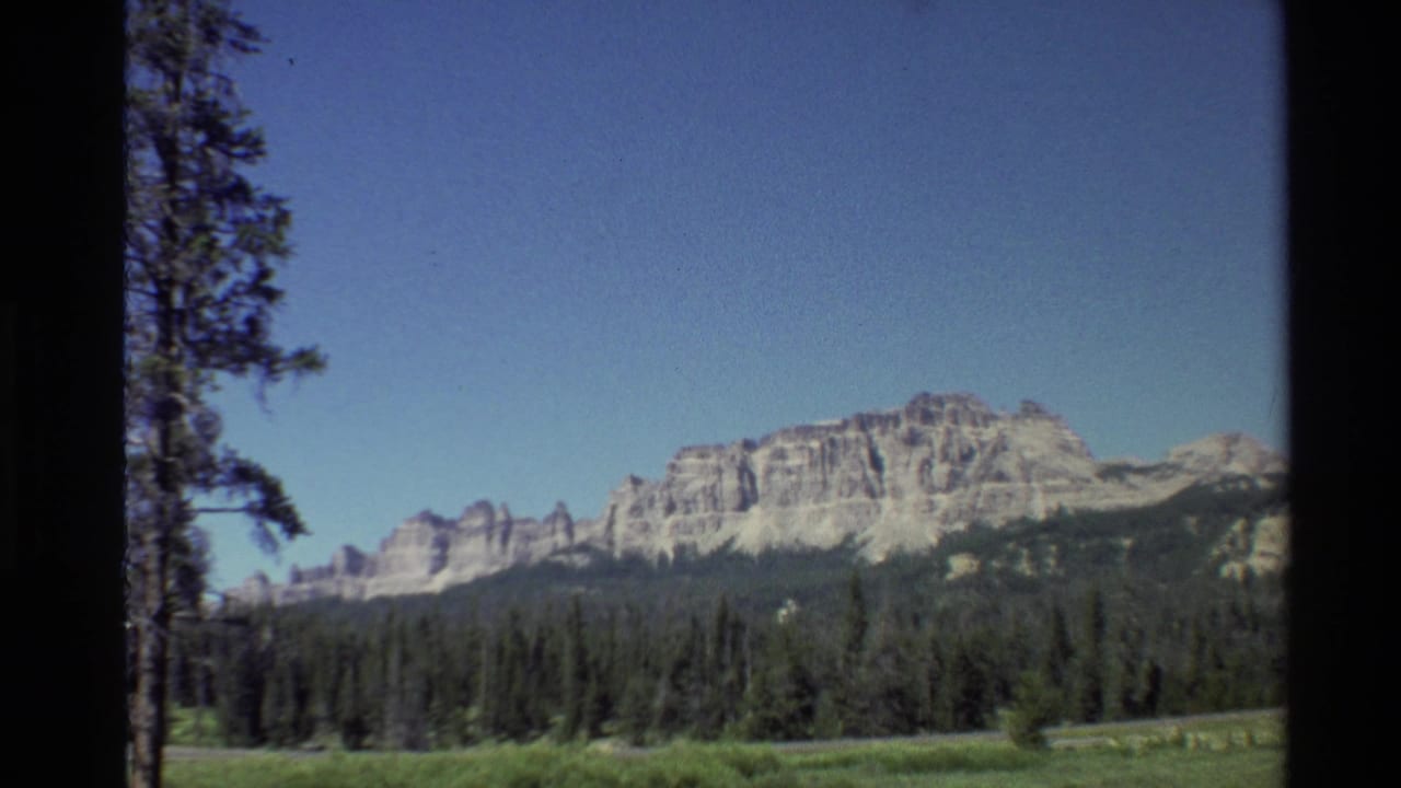 Mountain ridge and pine forest under blue sky, viewed across a green pasture.