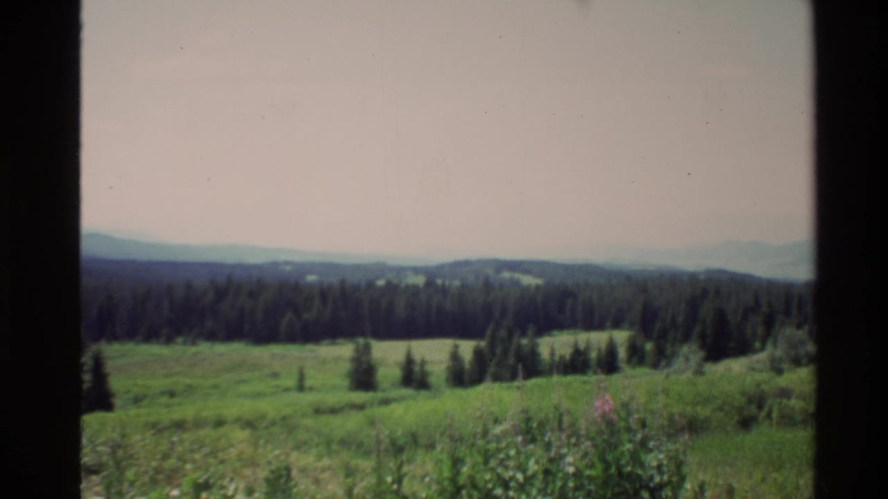1980 Western U.S. 8mm frame showing rolling green meadow, pine trees, pale sky, and distant hazy hills through a window frame.