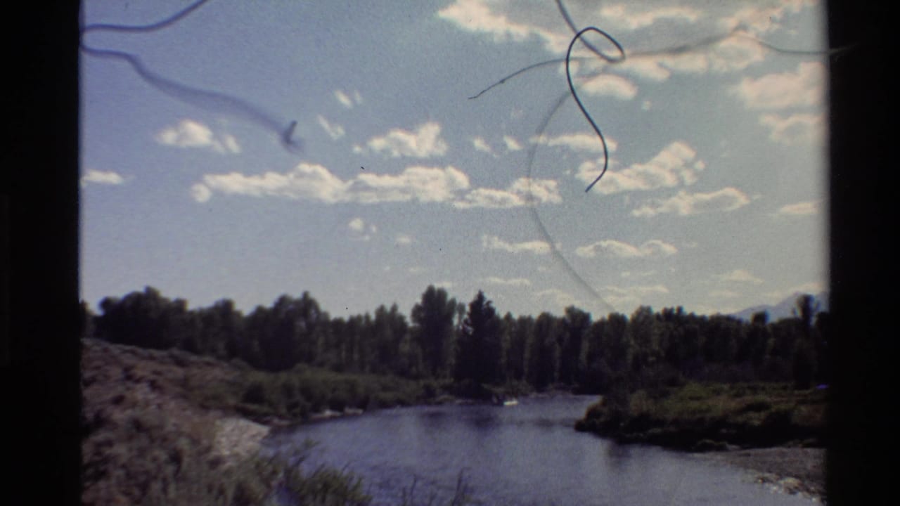 Wide river view with forested banks, blue sky, and a small distant boat.
