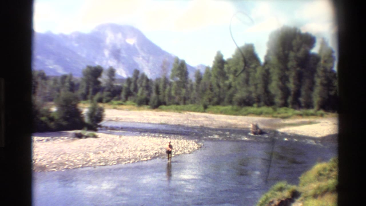 Person wading in a shallow rocky river with trees and mountains behind.