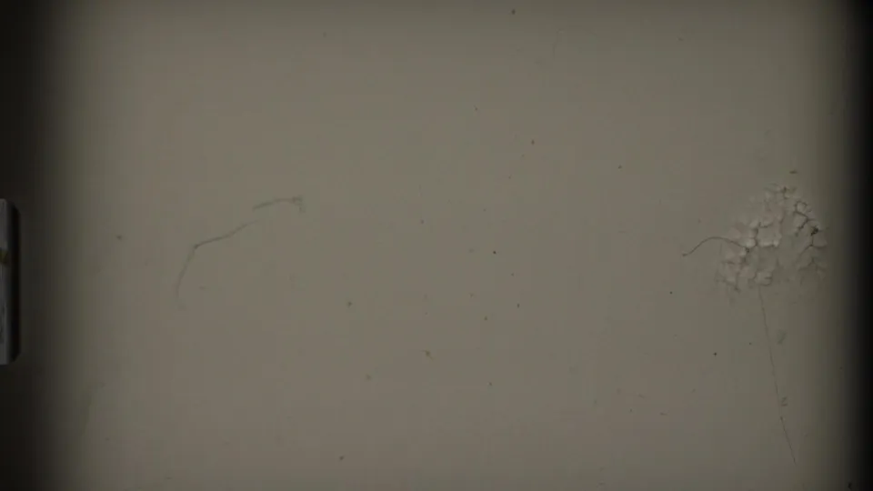 Blank 8mm frame at the end of the clip, with beige film base, dark gate edge, scattered dust, and faint scratch-like marks.