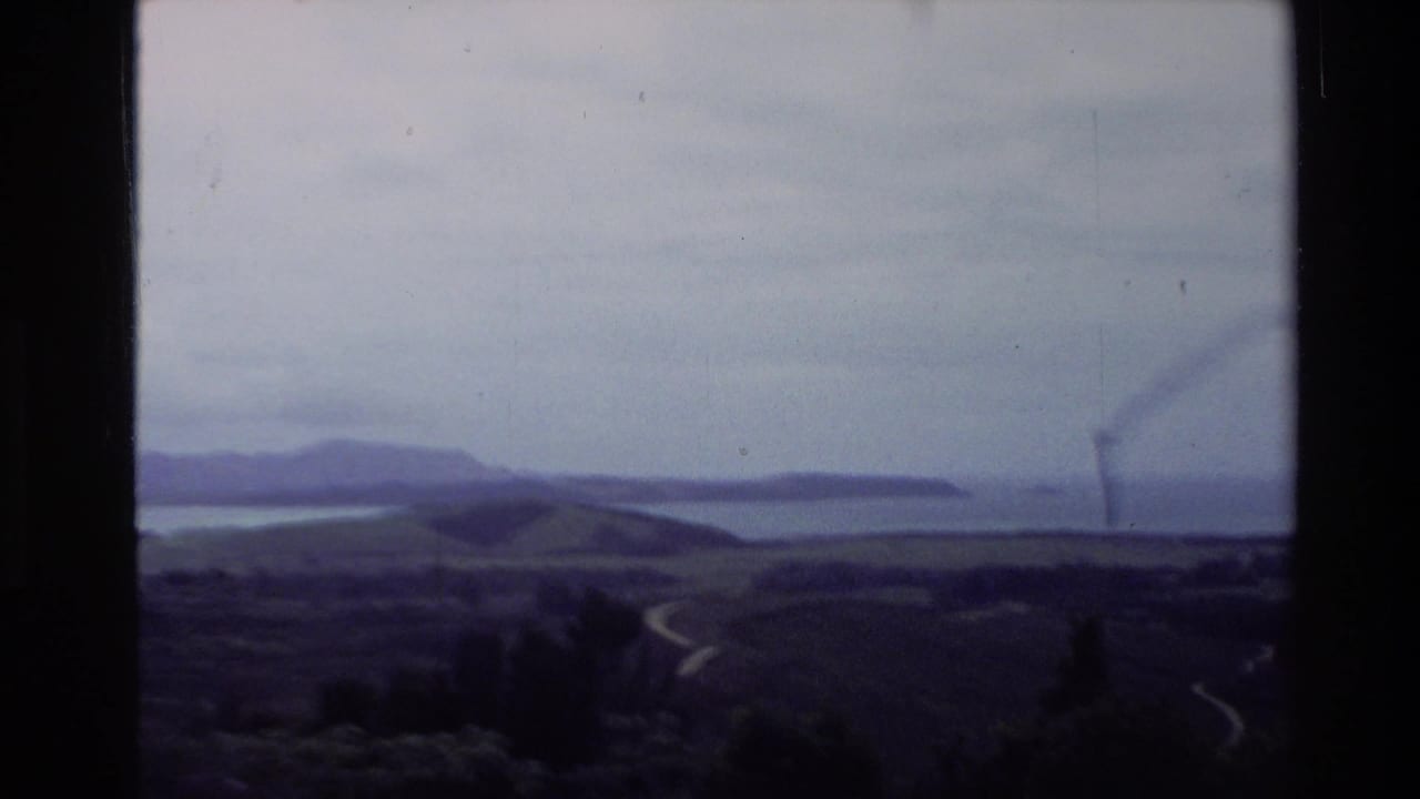 1981 New Zealand coastal panorama with rolling hills, a winding road, calm water, and distant headlands.
