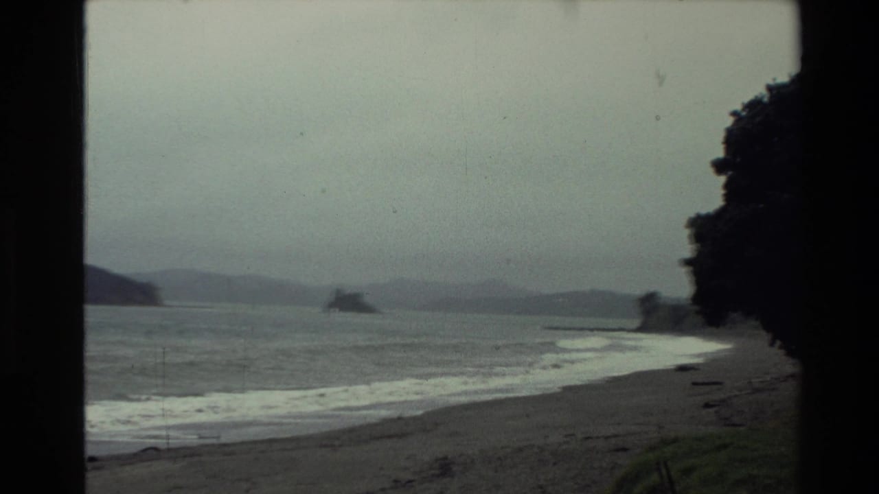 New Zealand coastal home-movie frame showing a grey bay, breaking waves, distant mountains, and a dark tree line at the right edge.