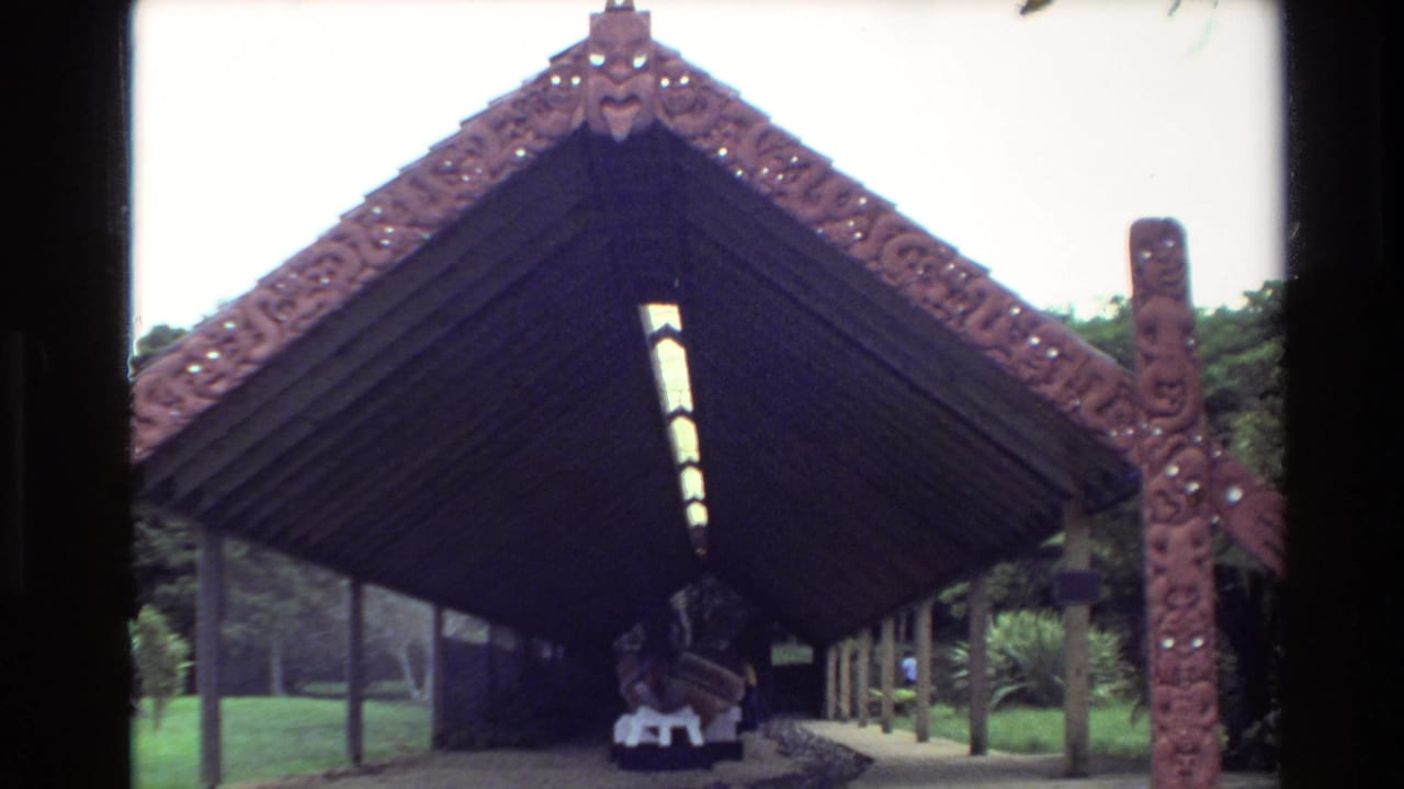 Frontal view of the carved shelter and waka with grass and trees behind it.
