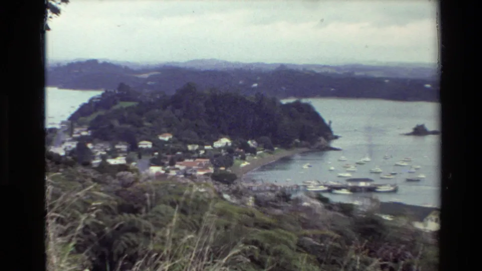 1981 New Zealand coastal view with hillside vegetation in front, shoreline houses below, boats at anchor, and a wooded peninsula in the bay.