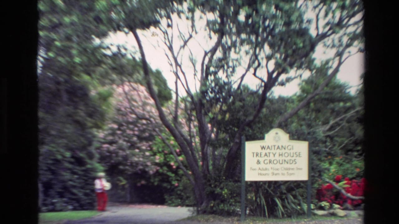 White Waitangi Treaty House sign beside trees and red flowers with a distant visitor on a path.
