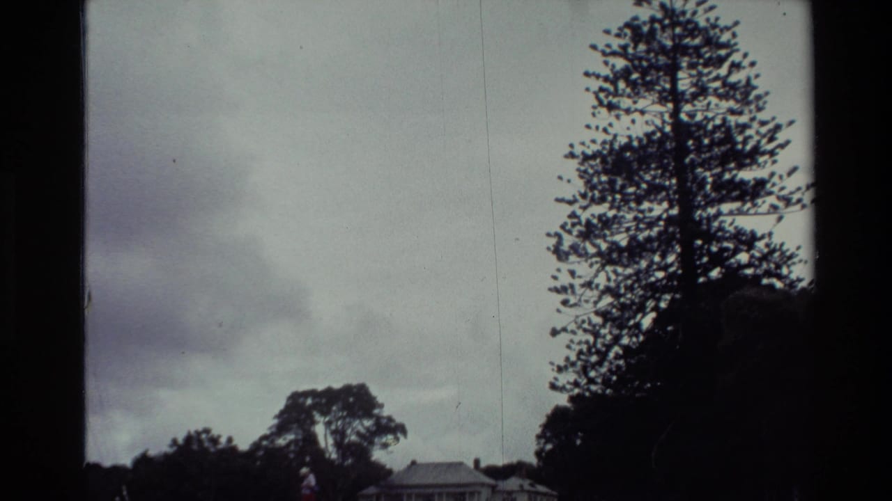 1981 New Zealand 8mm frame with a tall tree silhouetted against a cloudy sky and a white house low in the distance.