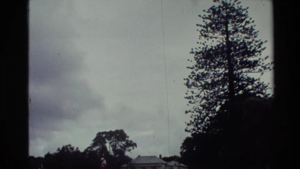 1981 New Zealand 8mm frame with a tall tree silhouetted against a cloudy sky and a white house low in the distance.