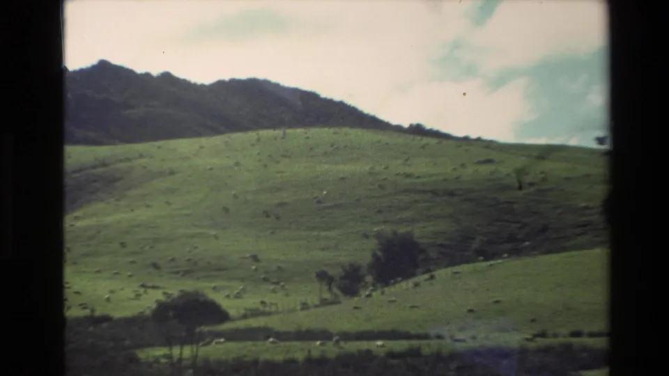 1981 New Zealand 8mm frame showing a green rural meadow, scattered trees, fence lines, and dark hills under a partly cloudy sky.