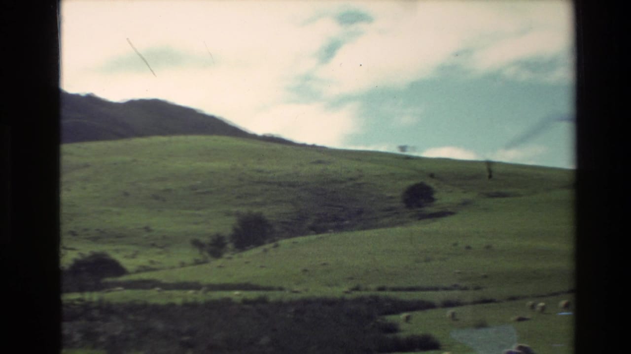 1981 New Zealand 8mm frame showing sheep grazing across a rolling green hillside beneath a partly cloudy sky.