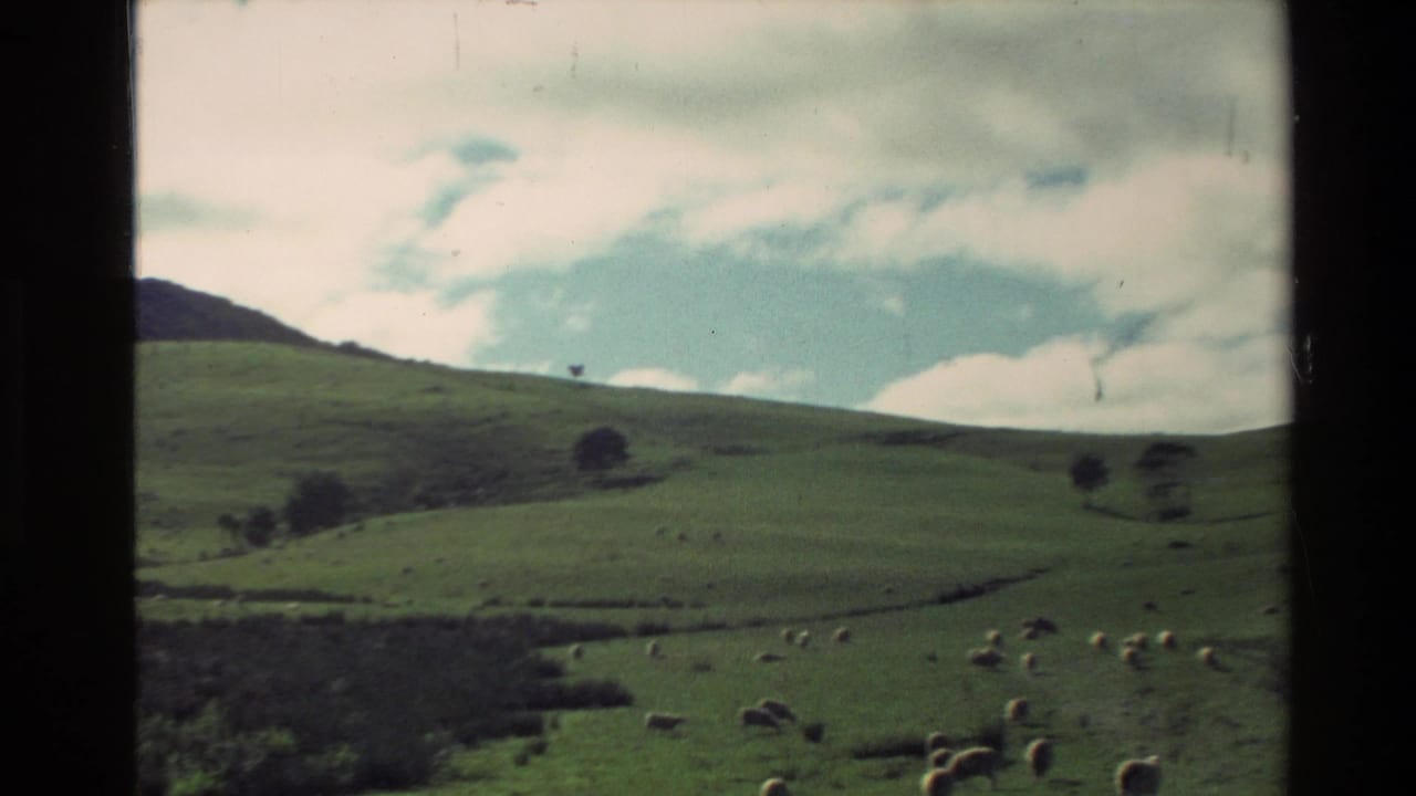 Green pasture hills with sheep, small trees, and cloudy sky.