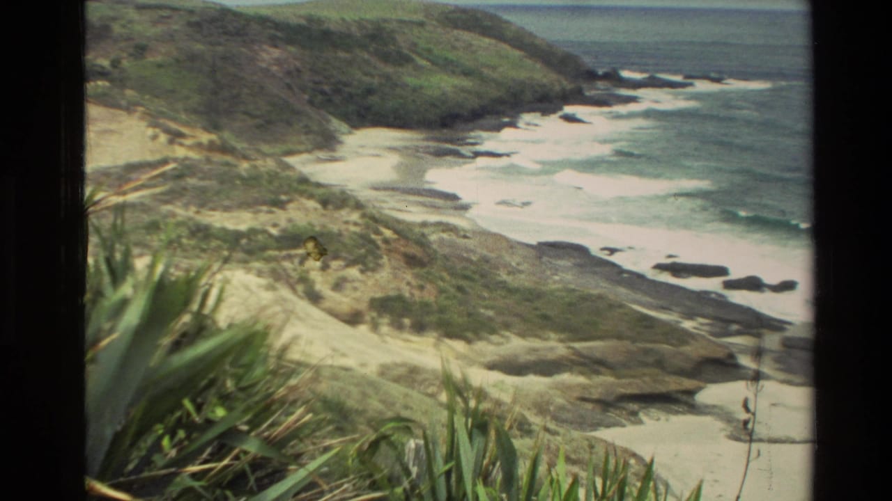 1981 New Zealand home-movie frame showing a rugged beach, dark rocks, surf, grassy foreground, and distant headland.