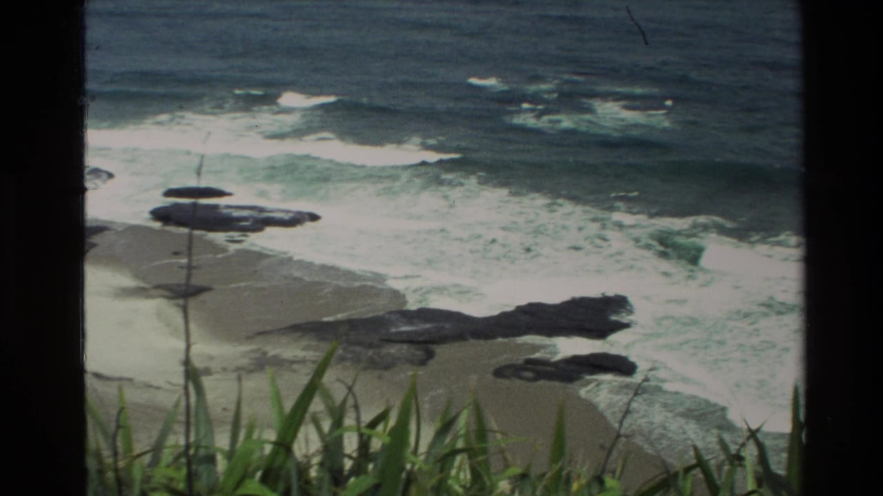 1981 New Zealand travel footage showing surf breaking over a rocky sandy beach, framed by tall grass in the foreground.