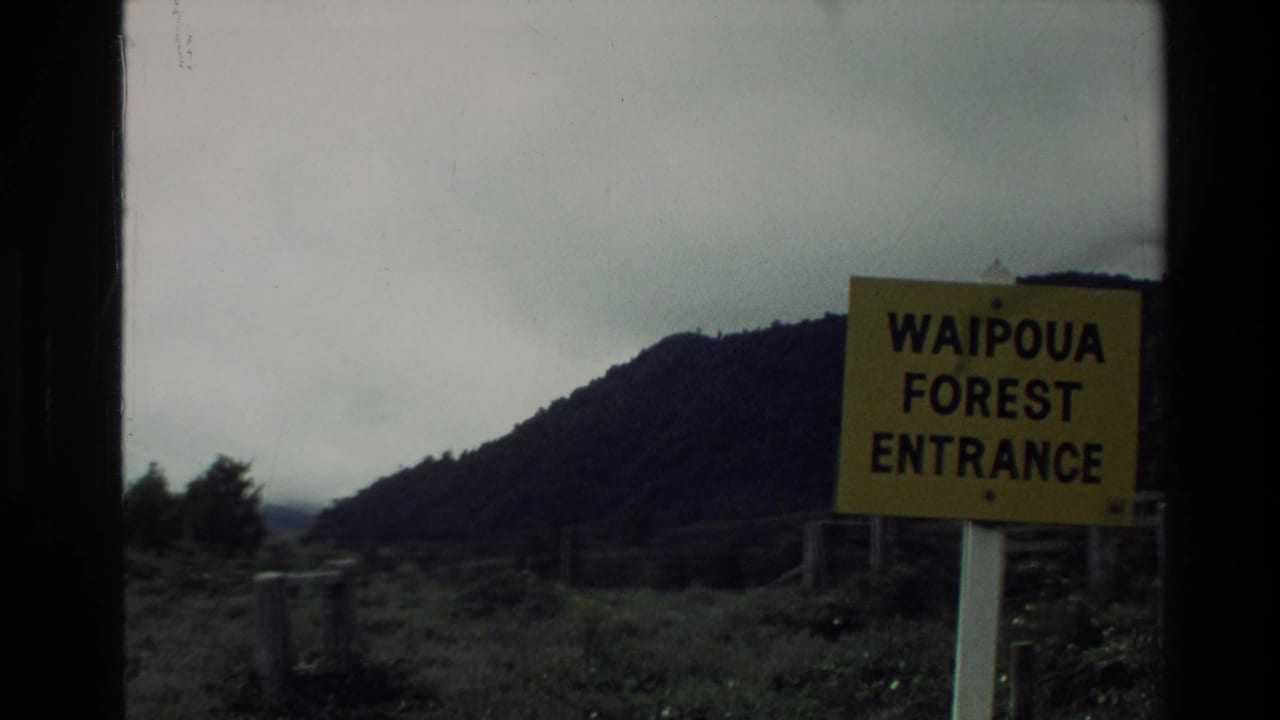 Yellow Waipoua Forest Entrance sign beside open ground and a tree-covered hill under an overcast sky in New Zealand.