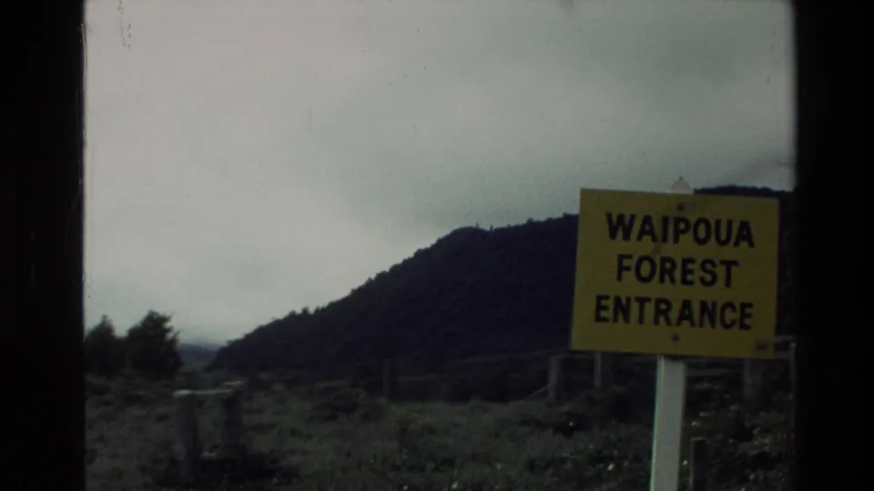 Yellow Waipoua Forest Entrance sign beside open ground and a tree-covered hill under an overcast sky in New Zealand.