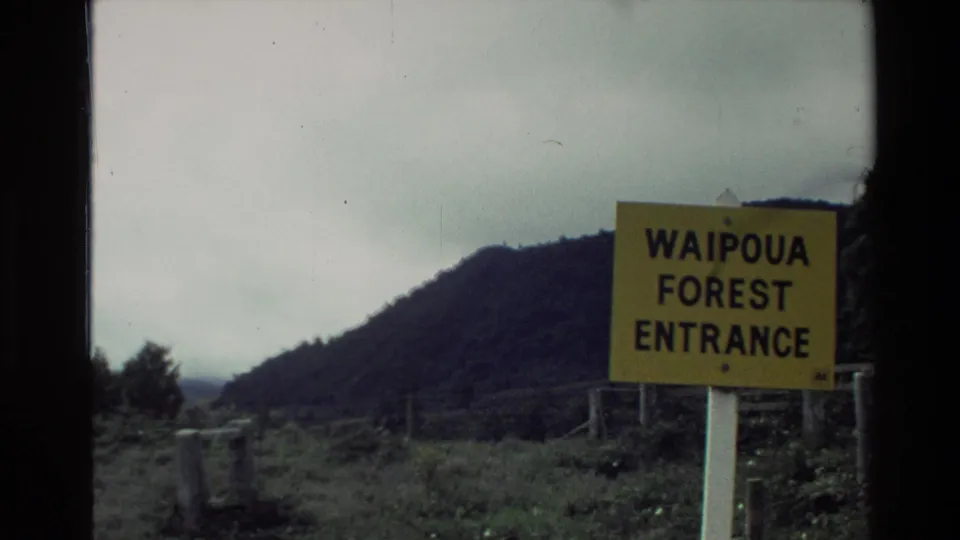 Waipoua Forest Entrance sign appears closer in frame, with grassy roadside ground and a dark hill in the background.