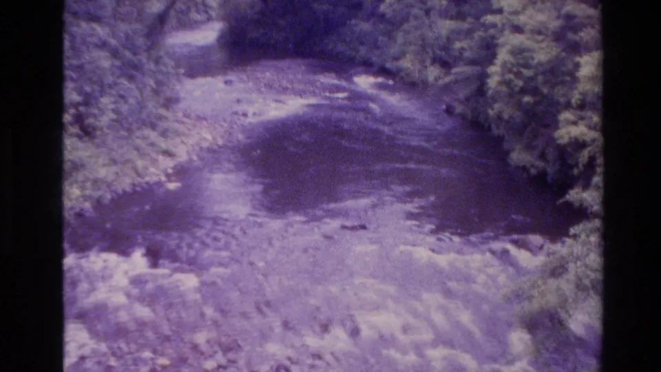 1981 New Zealand 8mm frame of a small forest stream with purple color shift and leafy banks.
