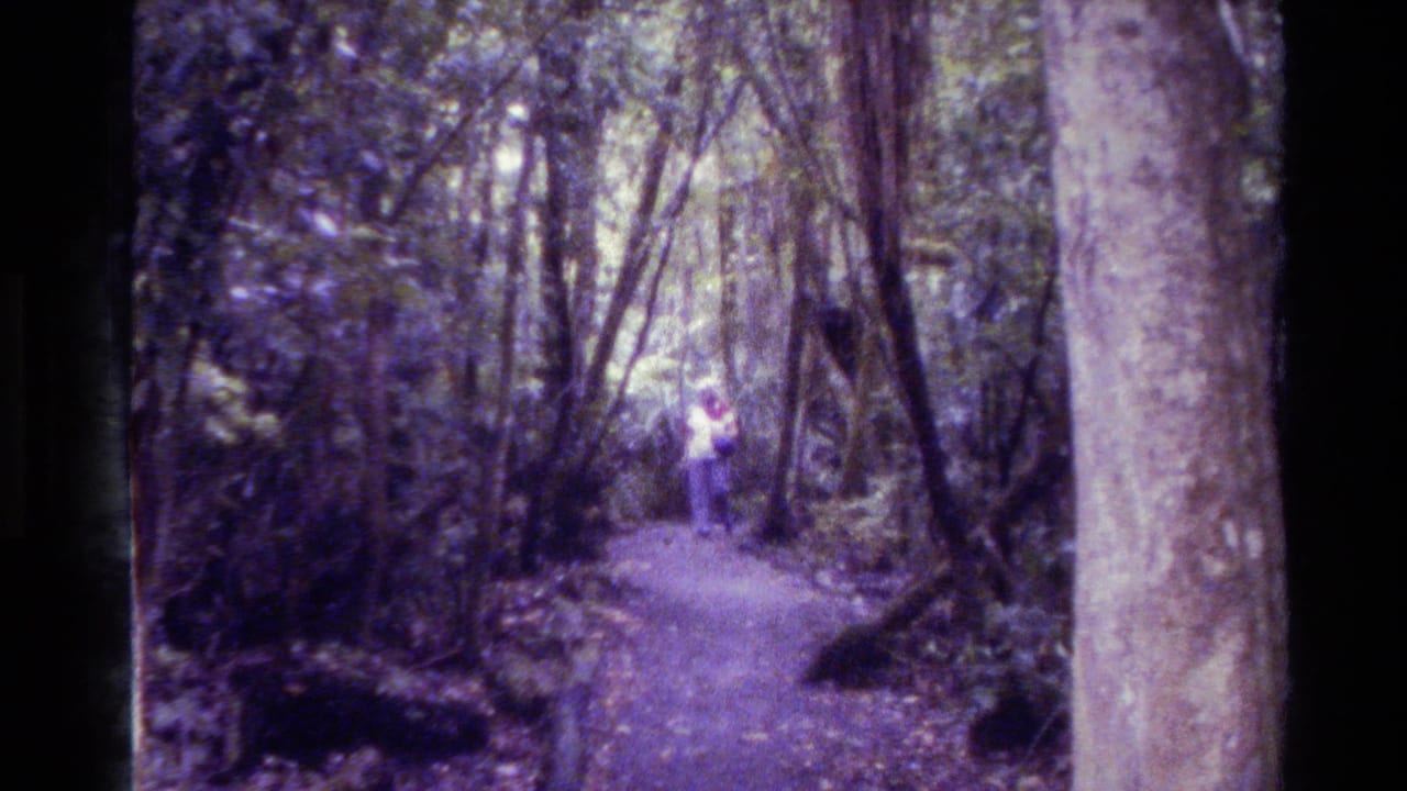 New Zealand 1981 8mm frame with a distant person walking along a shaded forest track between dense trees and foliage.