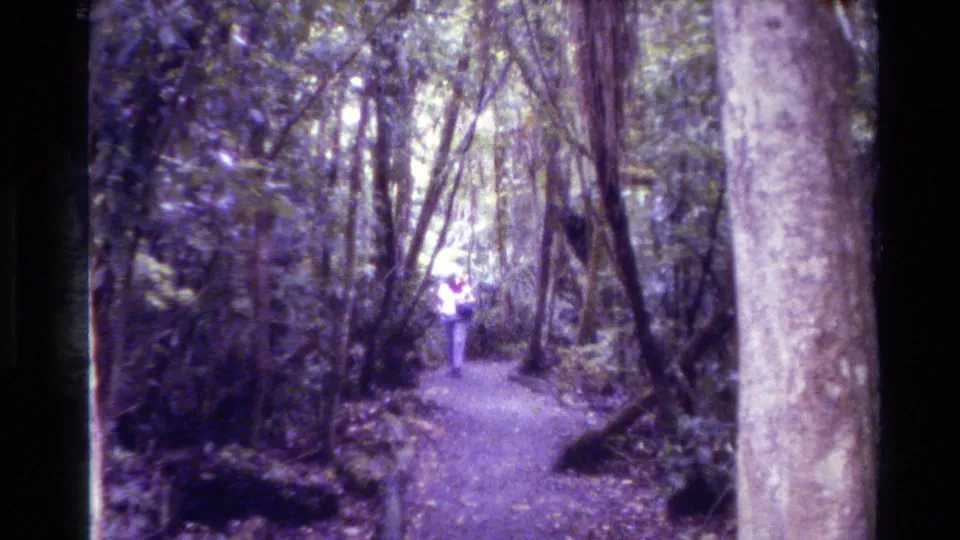 New Zealand 1981 8mm frame showing a small figure on a forest path, surrounded by tall trunks, bushes, and mottled canopy light.