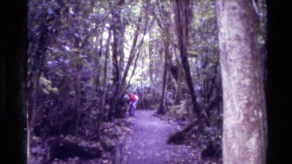 New Zealand 1981 8mm frame showing a person bending near a wooded trail, apparently collecting something from the ground.