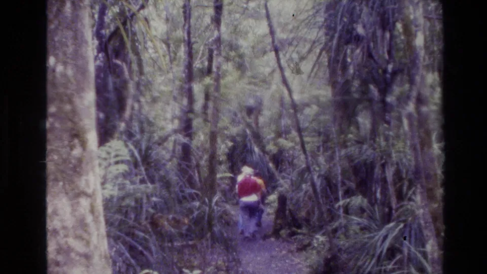 In 1981 New Zealand 8mm footage, a man in a red jacket walks away on a narrow bush trail surrounded by ferns and tall trees.