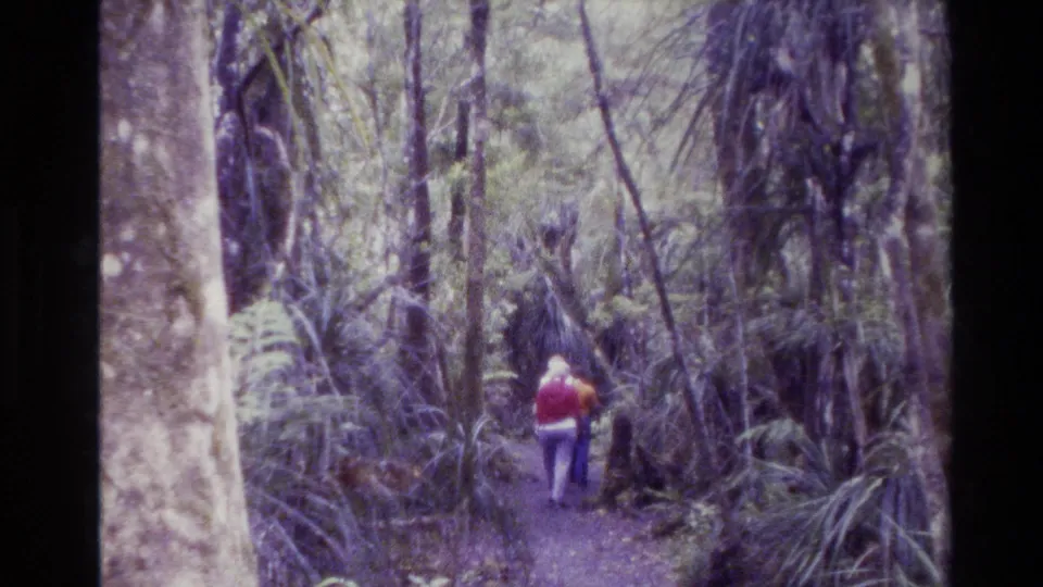 1981 New Zealand 8mm frame showing hikers from behind on a shaded forest path bordered by dense ferns and tree trunks.