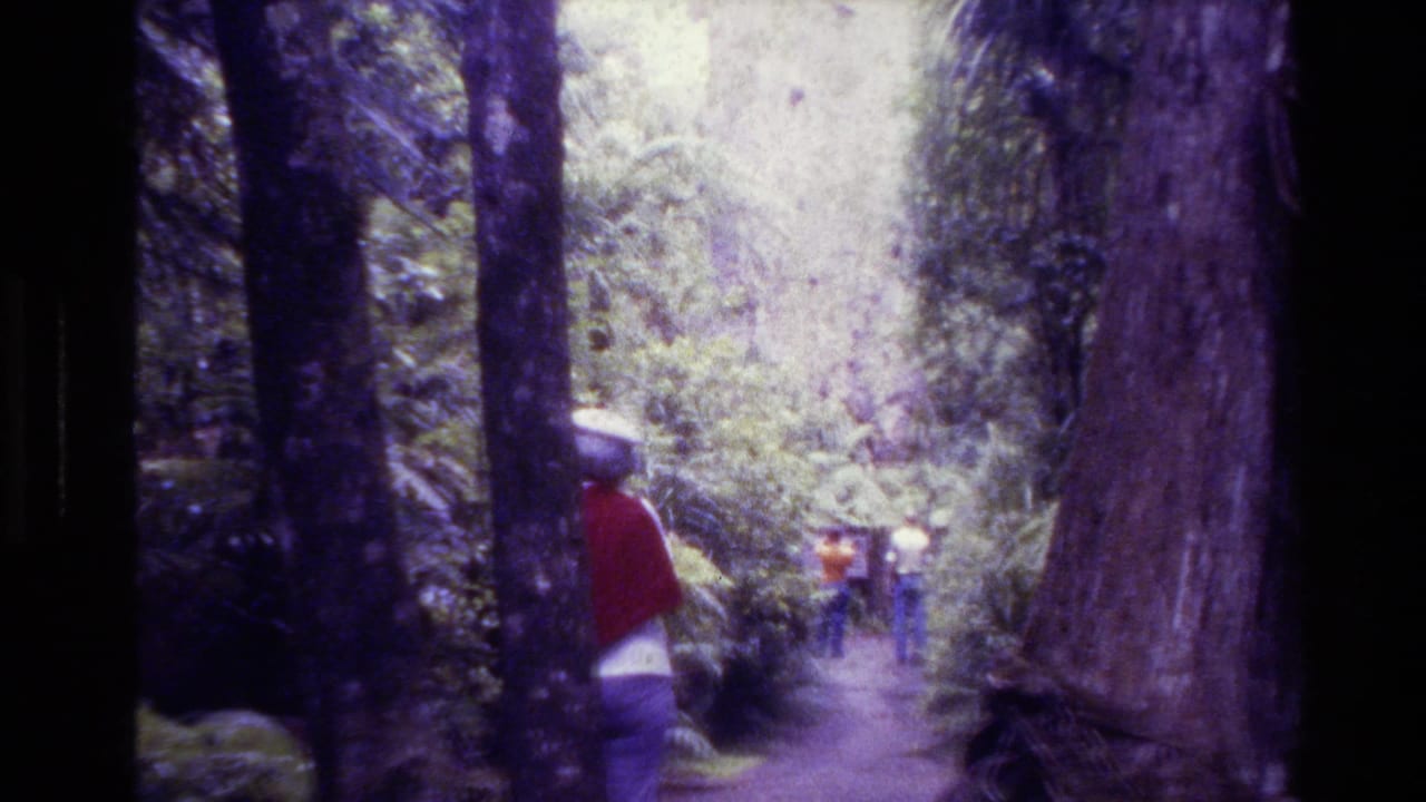 A hiker in a red top and white hat follows others on a wooded trail.