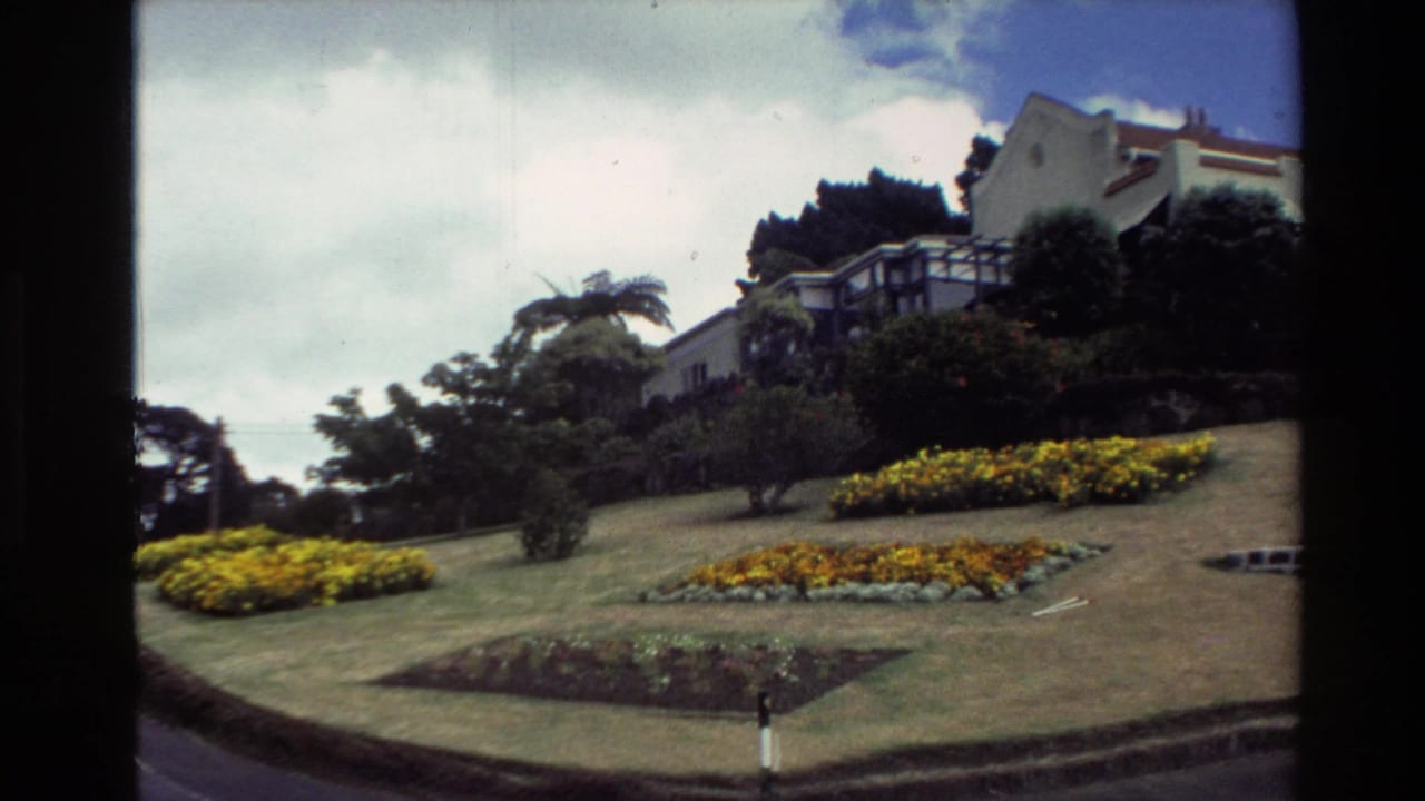 1981 New Zealand home-movie frame showing a hillside house above a maintained lawn, planted beds, and shrubs.