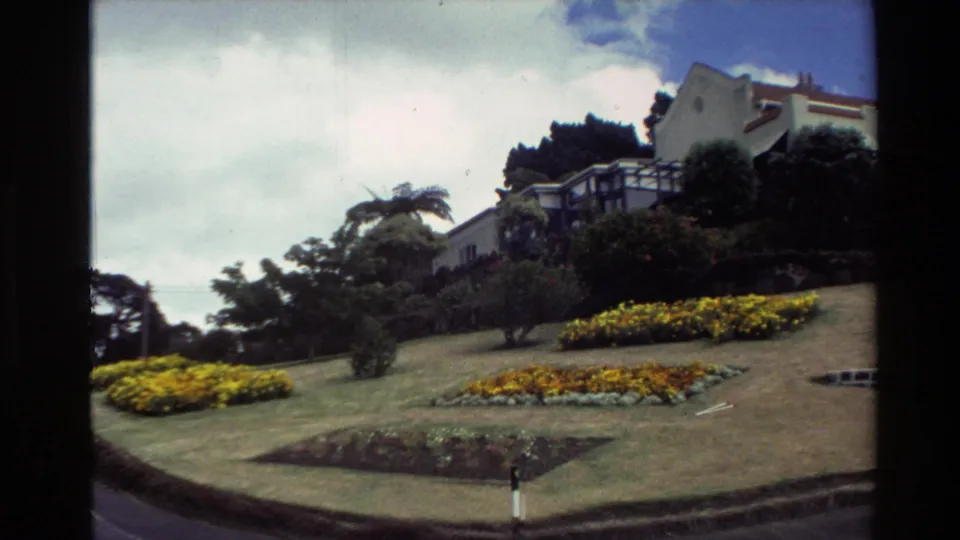 1981 New Zealand home-movie frame showing a hillside house above a maintained lawn, planted beds, and shrubs.
