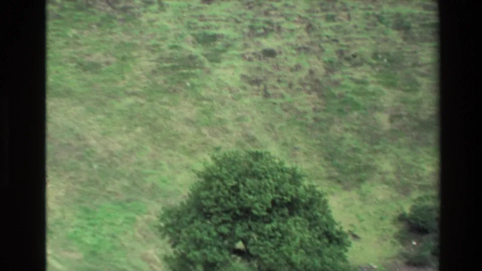 1981 New Zealand home-movie frame showing the Mount Eden grassy slope and a rounded shrub, with soft focus and muted 8mm color.