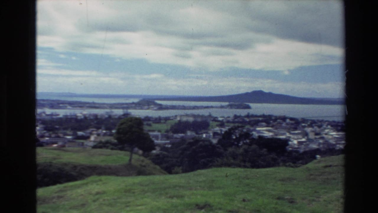 Grassy slope and trees overlook harbor water with low landforms in the distance.