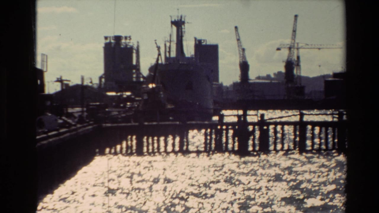 1981 New Zealand harbor view with a cargo ship, cranes, pier structures, and bright reflected water in 8mm home-movie footage.