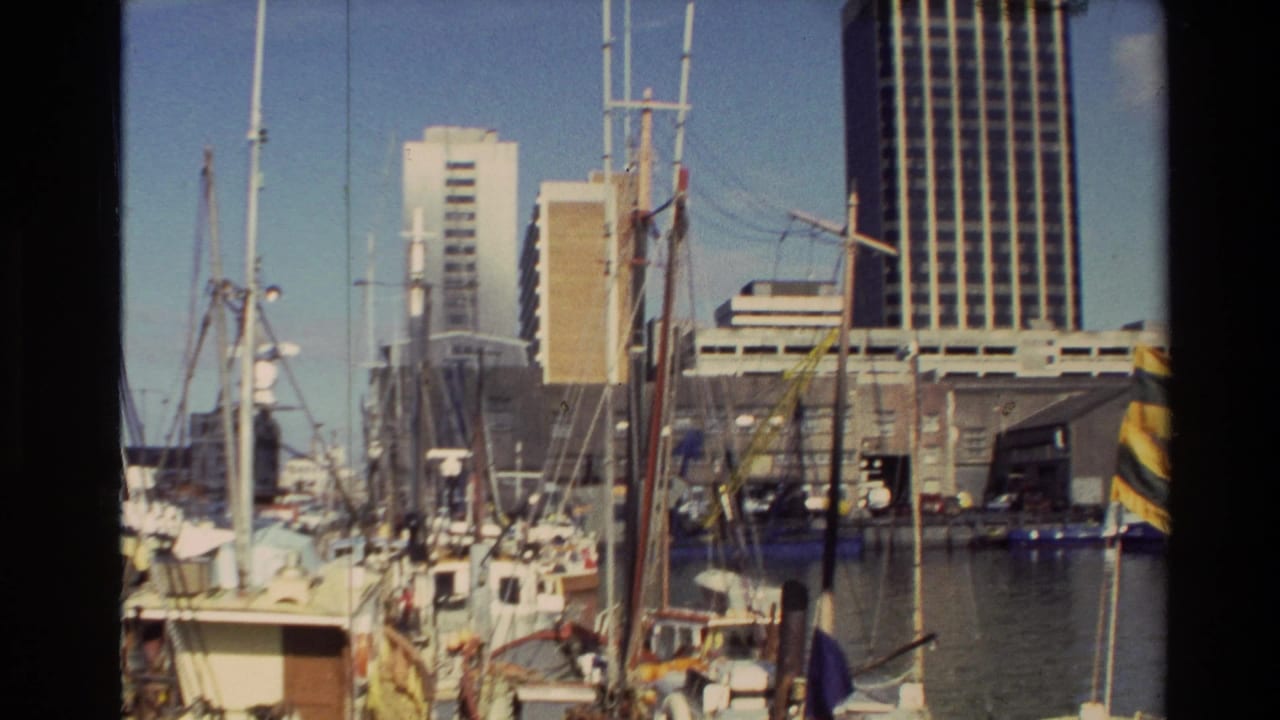 Moored boats and tall city buildings along a sunlit harbor.