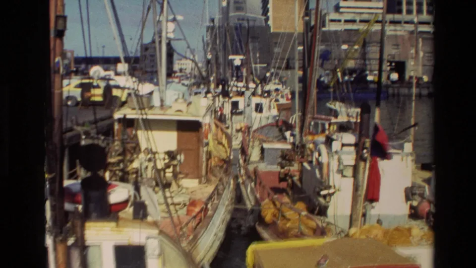 1981 New Zealand harbor footage with fishing boats or small vessels, rigging, dock equipment, and city buildings in the background.