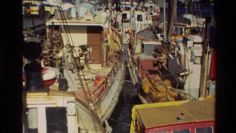 1981 New Zealand marina or working harbor view with moored vessels, rigging, nets or bundled gear, and modern buildings beyond the water.