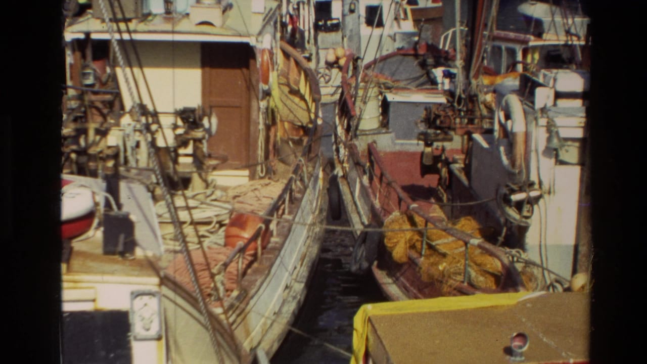 1981 New Zealand 8mm frame showing docked fishing boats packed with ropes, netting, railings, and working deck equipment.