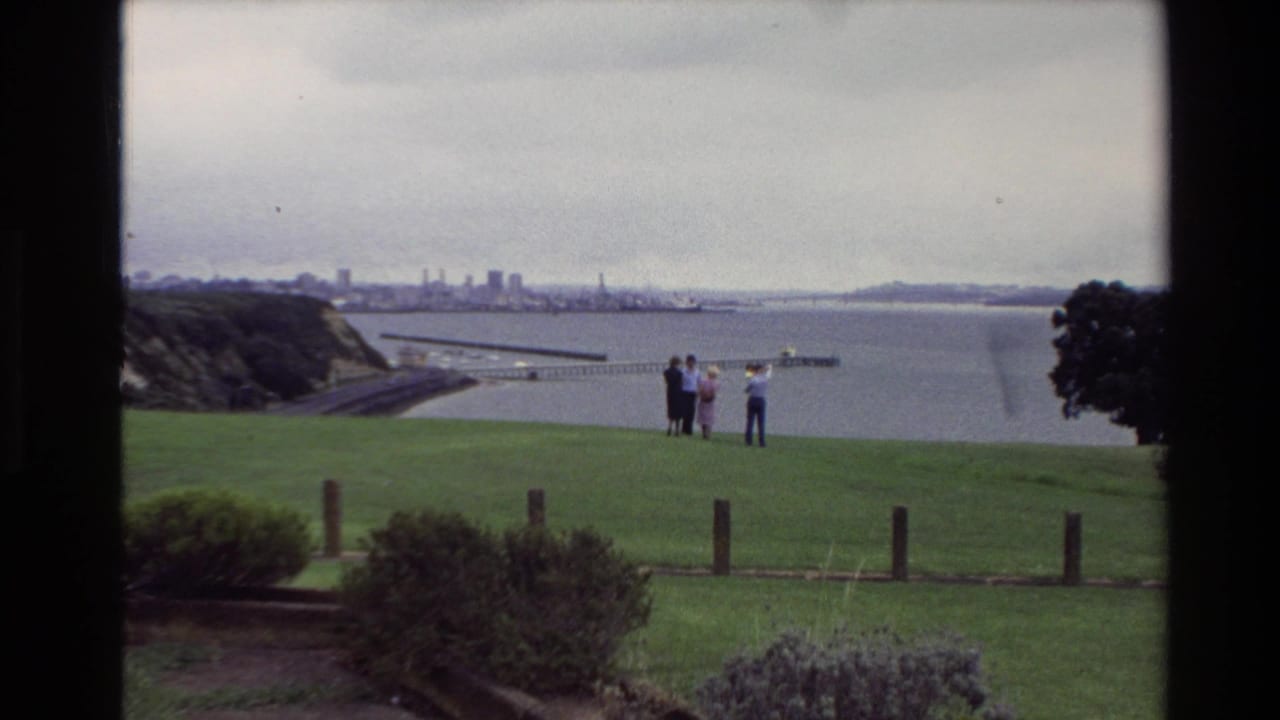 1981 New Zealand 8mm frame showing adults on a grassy lookout above water, with a distant city skyline and shoreline beyond.