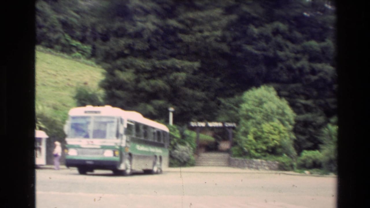 Green-and-white tour bus parked near a forested entrance area with a person nearby.