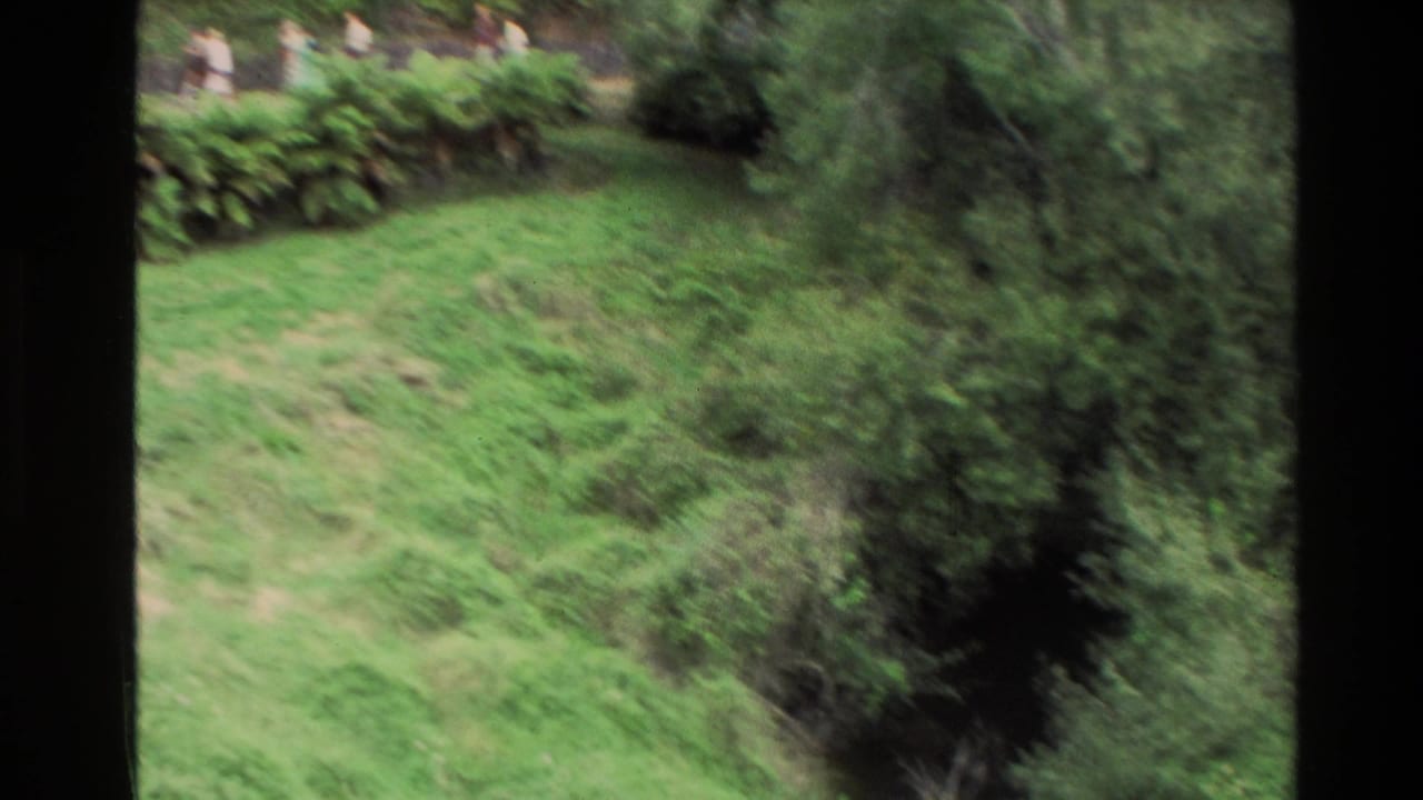 Handheld 8mm view of a green New Zealand hillside with shrubs, trees, and a path near a cave tourist area.