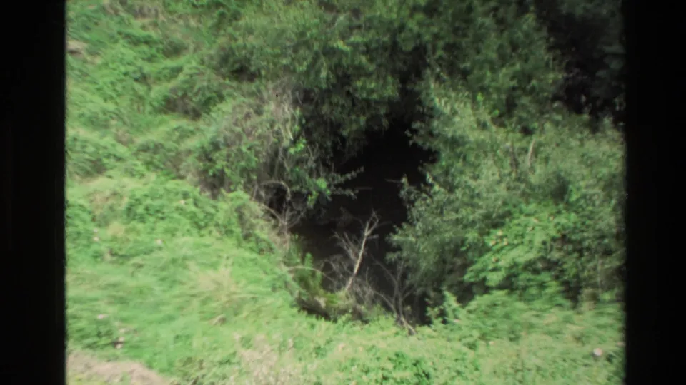 1981 New Zealand frame showing a shadowed cave mouth set into a green slope with ferns and brush around it.
