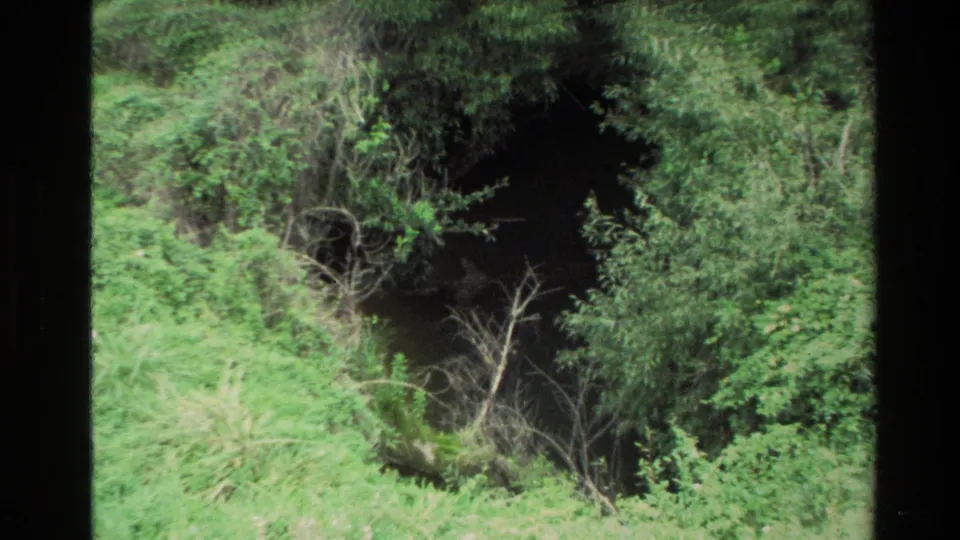 Home-movie frame of the cave mouth in New Zealand, framed by saturated green foliage and soft 8mm focus.